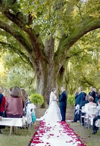 A wedding ceremony under the live oak at Destrehan Plantation